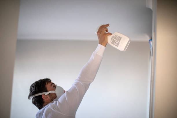 Best Crawl Space Mold Removal  in Mechanicville, NY